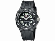  Luminox Sentry 09LX036